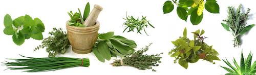 Research on Ayurveda and Herbal Medicines 
